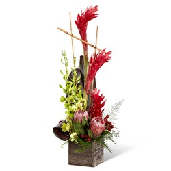 The FTD Tropical Bright Arrangement from Victor Mathis Florist in Louisville, KY